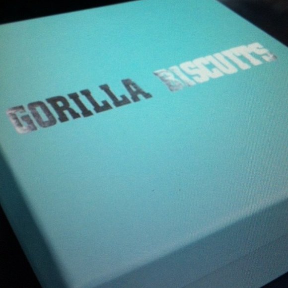 Gorilla Biscuits - Revelation Records 25th Anniversary figure by Anthony Civ Civorelli, produced by Super7. Packaging.