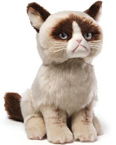 Grumpy Cat figure, produced by Gund. Front view.