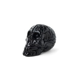 Mini Skull Brain (black) figure by Emilio Garcia, produced by Lapolab. Front view.