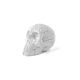 Mini Skull Brain (white) figure by Emilio Garcia, produced by Lapolab. Front view.