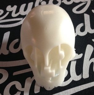 Paper+Plastic Skull (white) figure by Duboseart, produced by Paper + Plastick. Front view.
