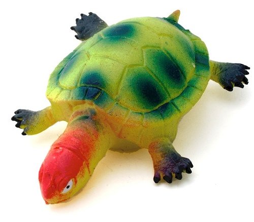 turtle figure. Front view.