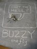 Buzzy the Fly