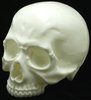 Skull Head 1/1 - Crazy Glow