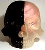 Skull Head 1/1 - Pink Brain
