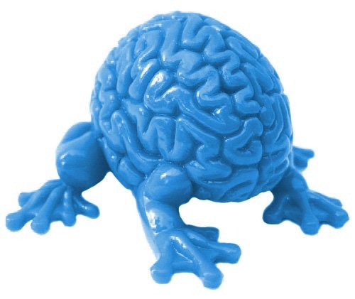 Jumping Brain figure by Emilio Garcia, produced by Toy2R. Front view.
