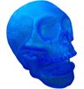 Skull - Royal Blue