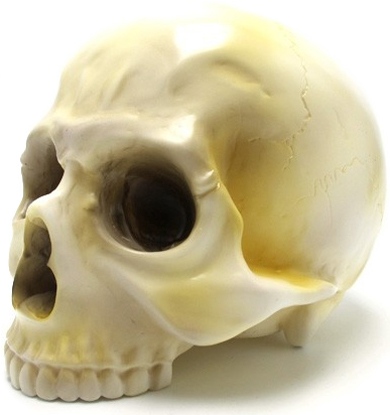 1/1 Skull Head - 50's