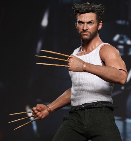 Wolverine figure by Marvel, produced by Hot Toys. Detail view.