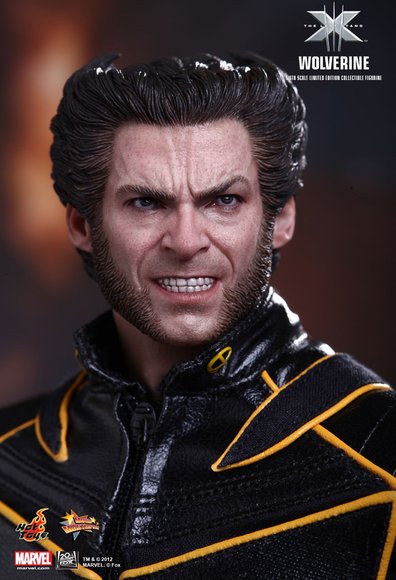 Wolverine figure by Marvel, produced by Hot Toys. Detail view.
