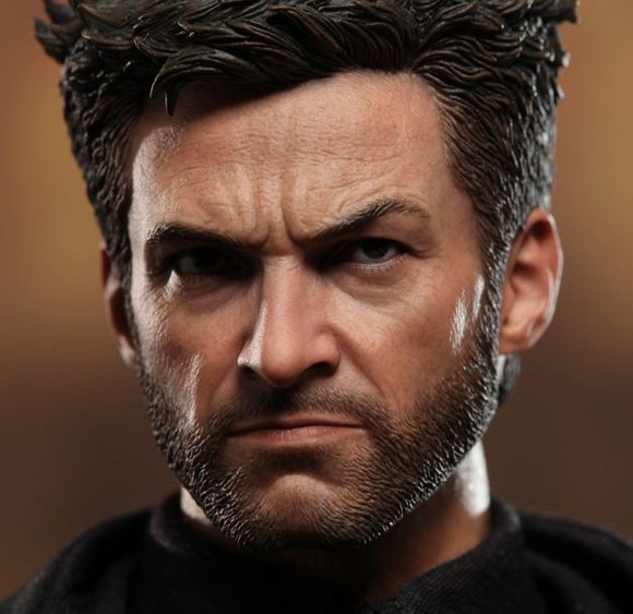 Wolverine figure by Marvel, produced by Hot Toys. Detail view.