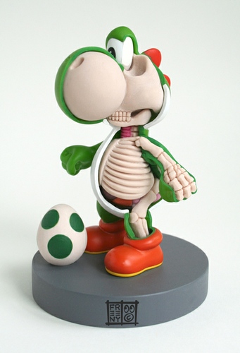 Anatomical Yoshi